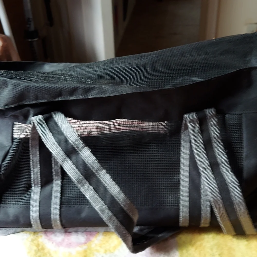 Small pet carrier